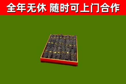 从江县回收海参
